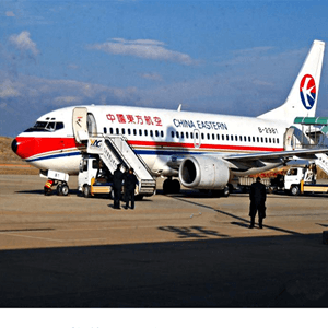 上海空运代理航空快运业稳步发展的原因是什么？